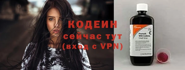 дурь Карпинск