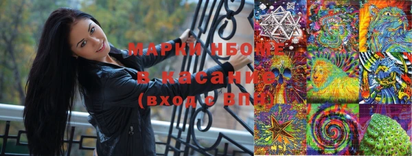кокс Касимов