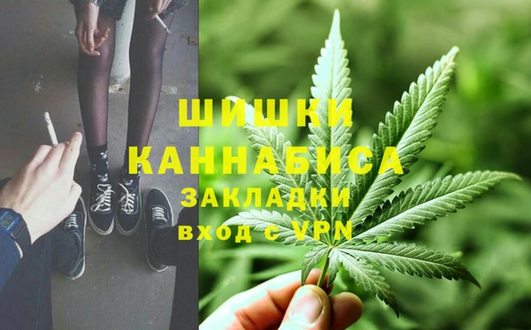 дурь Карпинск