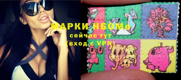 кокс Касимов