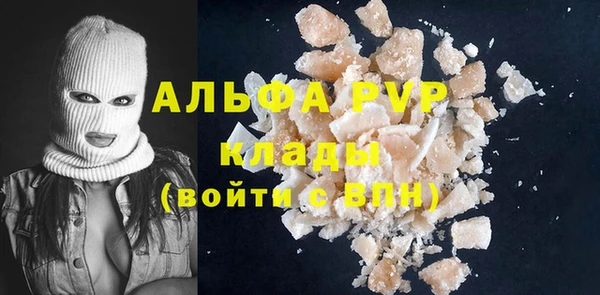 кокс Касимов