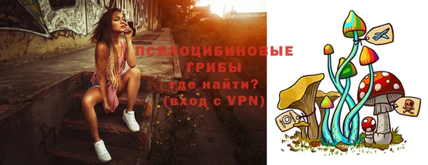 дурь Карпинск