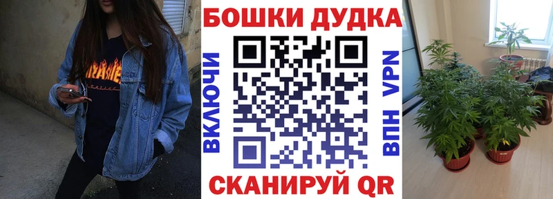 Бошки Шишки Ganja Мосальск